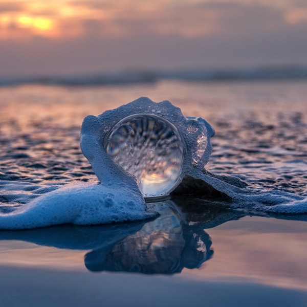 Engulfed