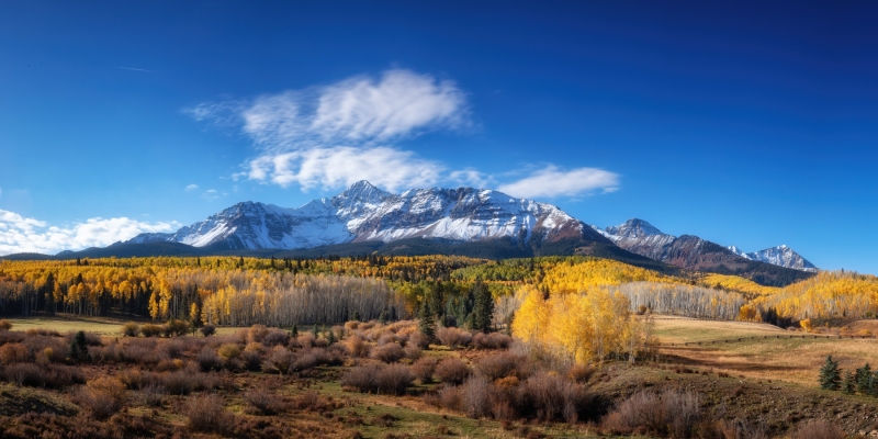 Wilson in Fall Color