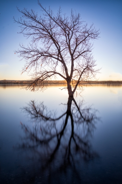 After the Fall