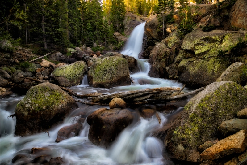Alberta Falls at Sunrise