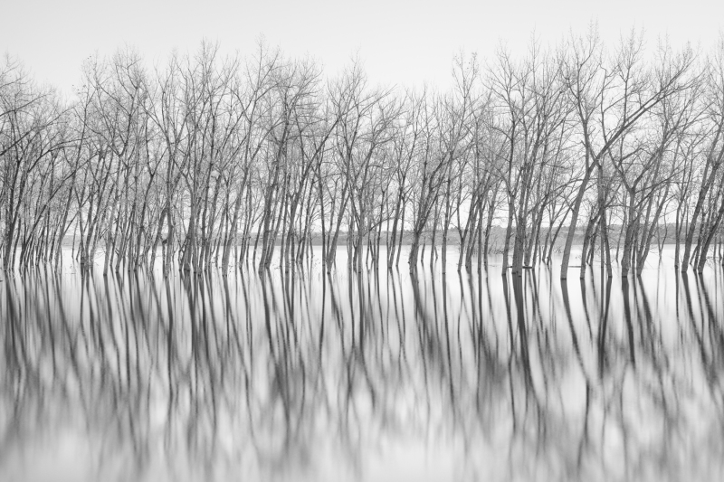 Reflecting Together
