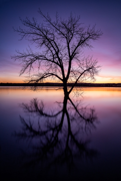 Serenity