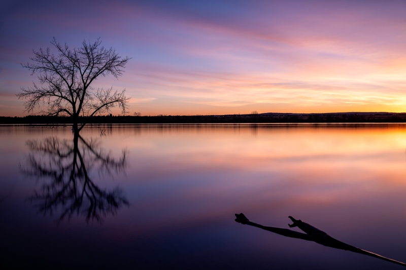 Solitary Sunrise