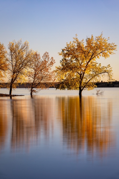 Fall Reflection