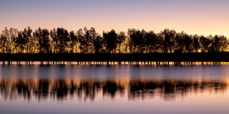First Light