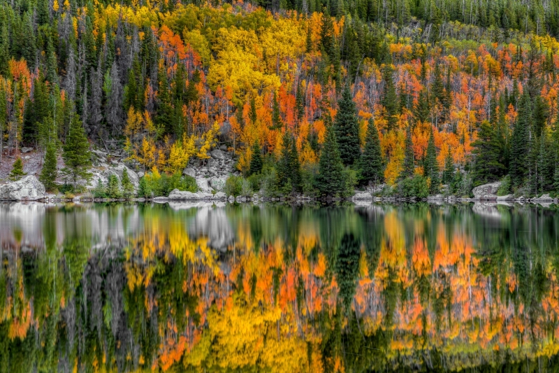 Happy Fall