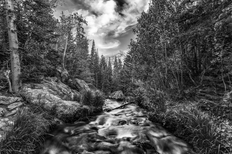 Mountain Stream