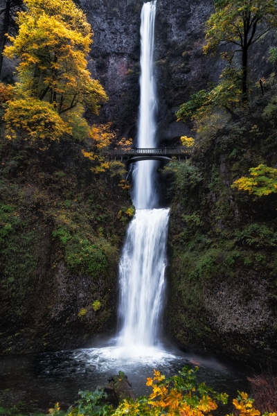 Multnomah in Fall Colors